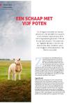 Een schaap met vijf poten